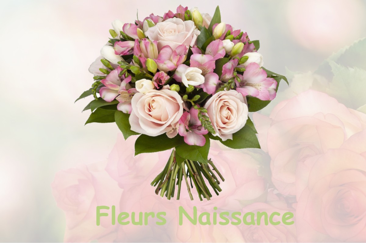 fleurs naissance LUCBARDEZ-ET-BARGUES