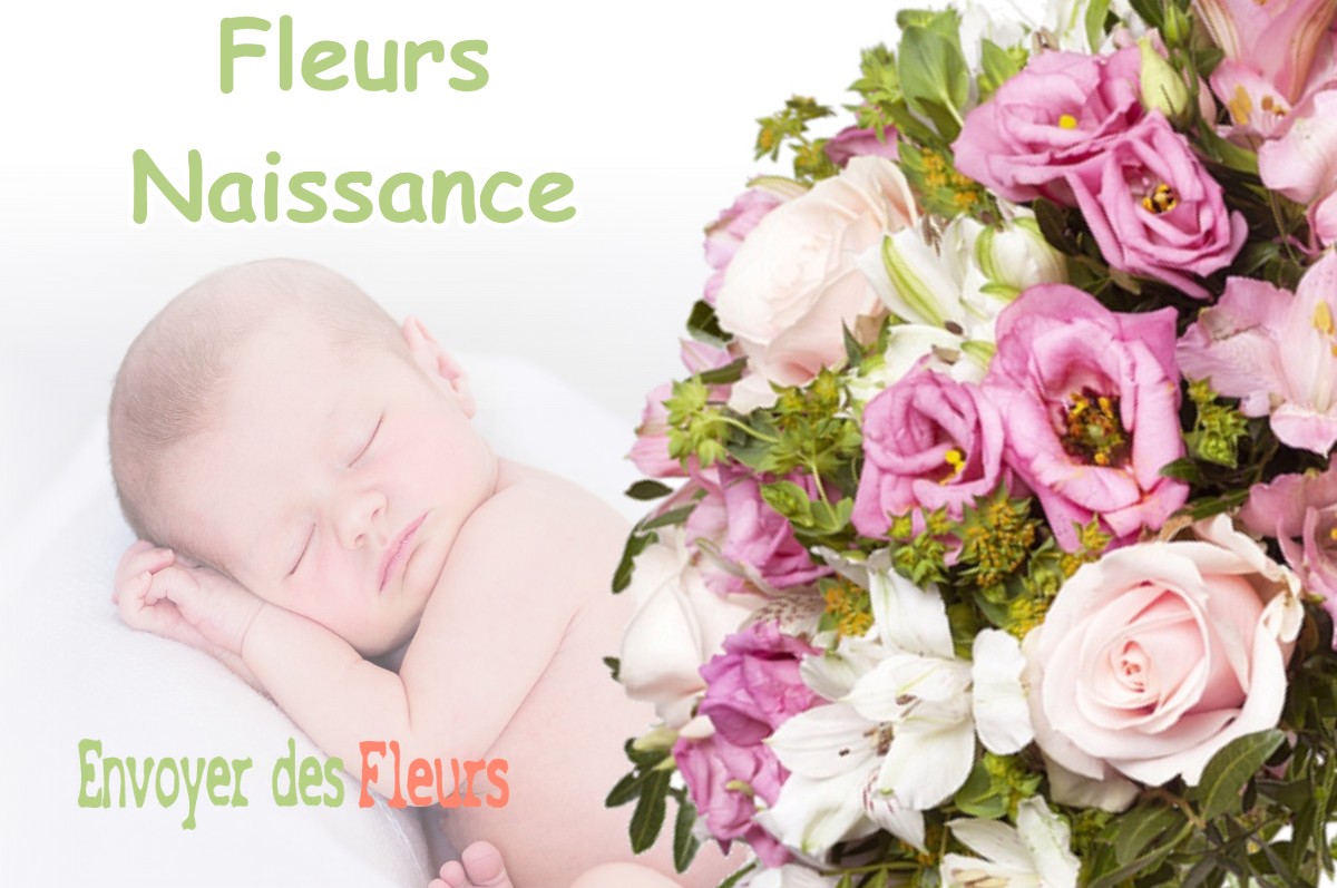 lIVRAISON FLEURS NAISSANCE à LUCBARDEZ-ET-BARGUES