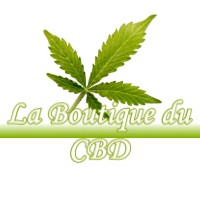 LA BOUTIQUE DU CBD LUCBARDEZ-ET-BARGUES 